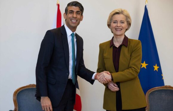 Rishi Sunak WON’T sell anyone out over Brexit, minister says as No10 accused of 'not engaging' | The Sun