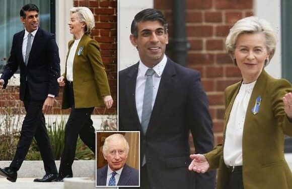 Rishi Sunak and EU chief Ursula von der Leyen hail new terms for NI