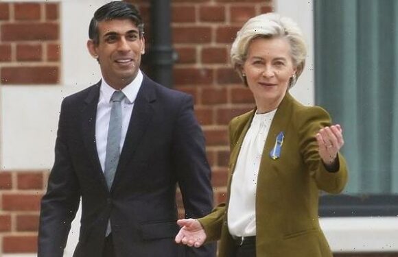 Rishi Sunak and Ursula von der Leyen shake hands on new 'Windsor Deal'