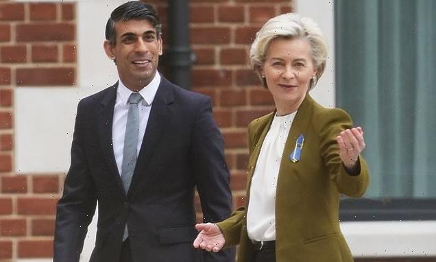 Rishi Sunak and Ursula von der Leyen shake hands on new 'Windsor Deal'
