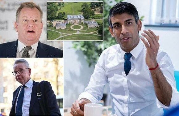 Rishi Sunak says he is a 'proud' Brexiteer after Gove attends summit