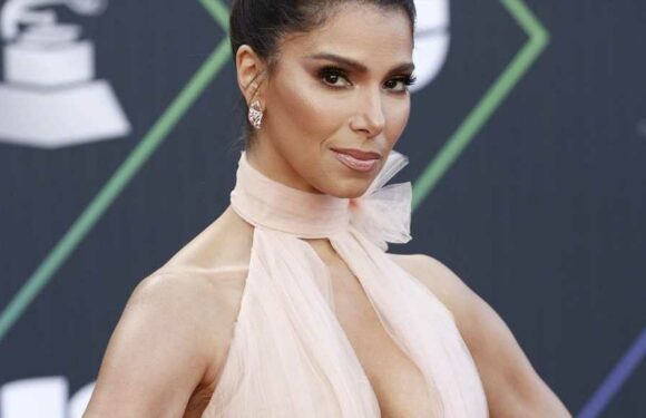 Roselyn Sanchez Underwent Breast Lift, Wasn't Thrilled with Husband's Initial Reaction to Results