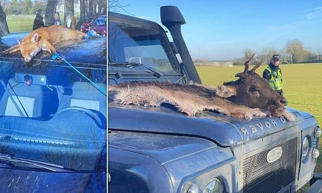 Royal Agricultural University student strapped dead stag to Land Rover