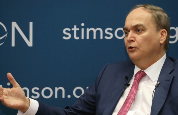 Russian ambassador: U.S. trying to "demonize" Russia with crimes against humanity claims