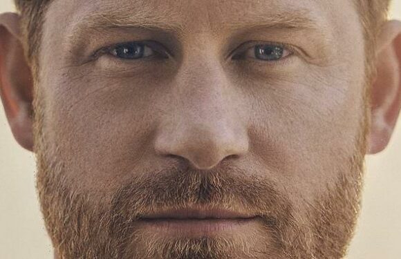 SARAH VINE: What Harry could learn from his 'older woman' Sasha