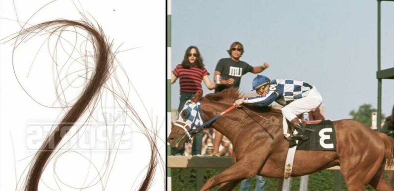 Secretariat's Lock of Hair Hits Auction Block, Could Fetch $10K