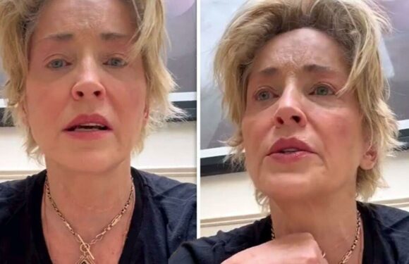 Sharon Stone breaks down in tears over brother’s tragic death