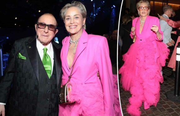 Sharon Stone brings her own buzz to Clive Davis pre-Grammy gala