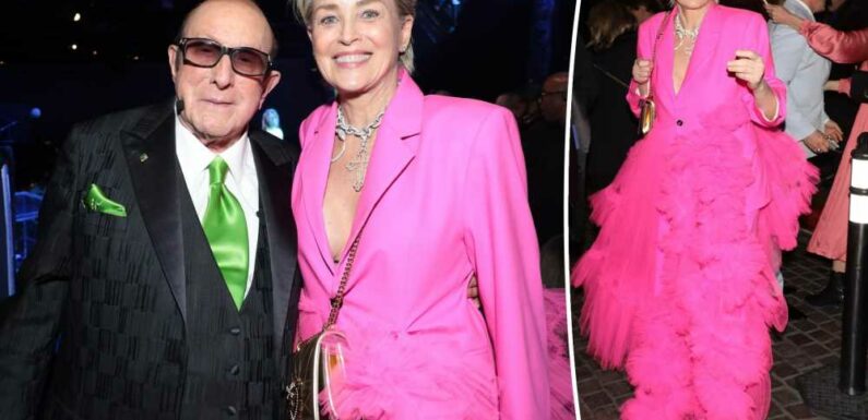 Sharon Stone brings her own buzz to Clive Davis pre-Grammy gala