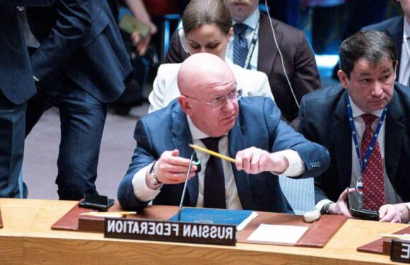 Shocking moment Putin crony childishly INTERRUPTS minute's silence for victims of Ukraine war at UN security council | The Sun