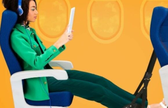 Shoppers Say This $15 Travel Essential Tool Is a Comfort ‘Game-Changer’ & a ‘Must-Have for Long Flights’
