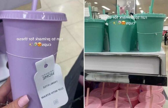 Shoppers are running to Primark for cute tumblers that come in pastel colours and cost just £3 | The Sun