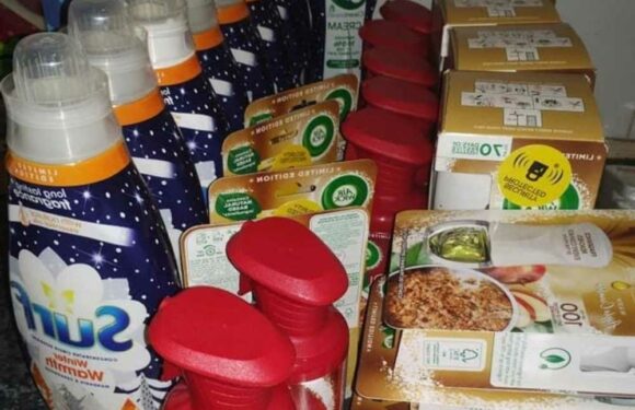 Shoppers are rushing to Wilkos after woman shares bargain haul with prices starting at just 25p | The Sun