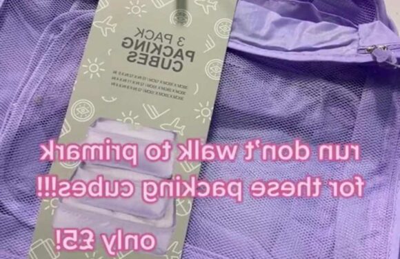 Shoppers go wild for Primark's new organising cubes – they're super cheap and will get your house tip top in no time | The Sun