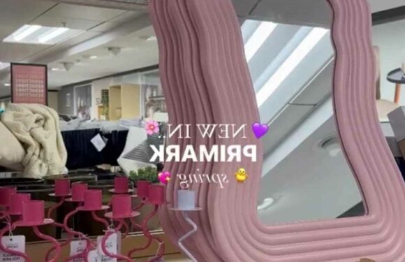 Shoppers go wild for Primark's new pastel home collection that's perfect for Spring – and it's so cheap too | The Sun