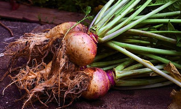 Some British supermarkets are not even selling turnips