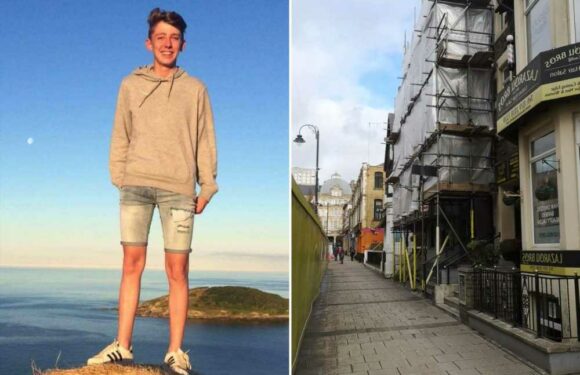 Student, 21, fell to his death as he climbed up a fire escape after night out | The Sun