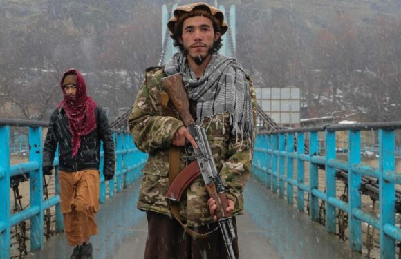 Taliban enforce contraception ban at gunpoint as it’s ‘Western conspiracy’