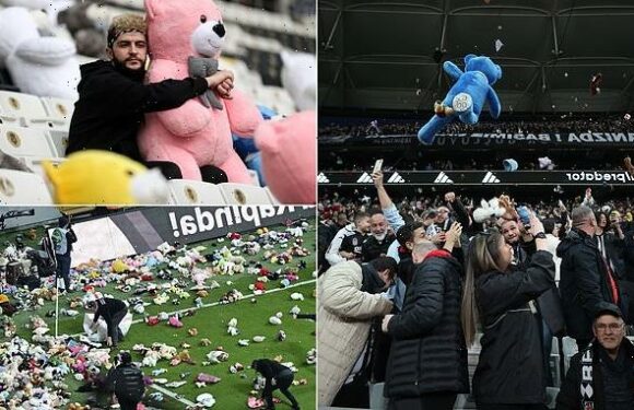 Teddies for Turkey: Football fans toss toys onto pitch during match