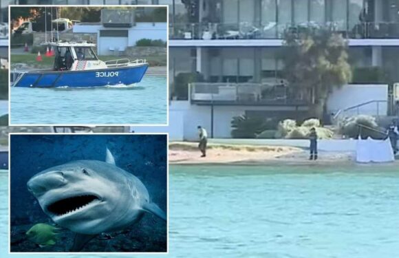 Teen girl, 16, dies in shark attack as boyfriend tried to save her after 'rope swinging into river' in Australia | The Sun