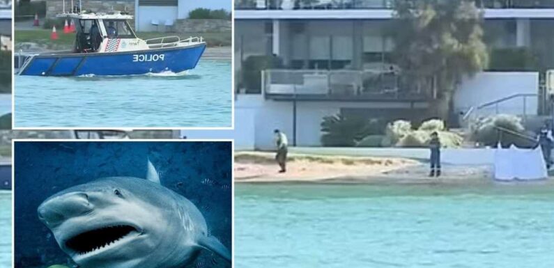 Teen girl, 16, dies in shark attack as boyfriend tried to save her after 'rope swinging into river' in Australia | The Sun