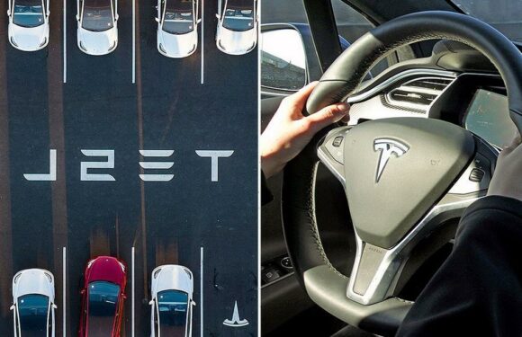 Tesla forced to recall 360,000 cars over alleged flaw that could lead to crashes