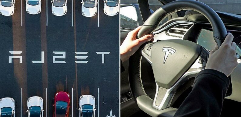 Tesla forced to recall 360,000 cars over alleged flaw that could lead to crashes