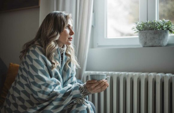 The exact temperature to set your thermostat to save on energy bills and stay warm | The Sun