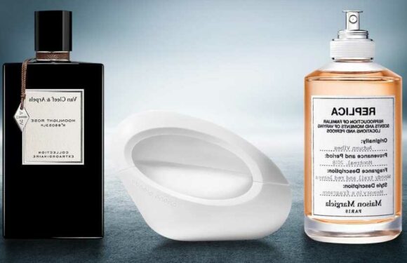 The most pungent perfumes to get your special someone feeling rosy this Valentine's | The Sun