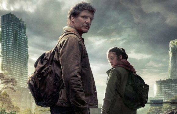 The question everyone’s asking: Would you survive a zombie apocalypse?