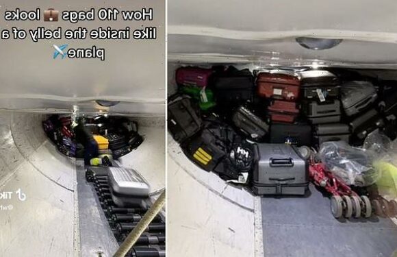 This 'mesmerising' video shows where your luggage is stored in a plane
