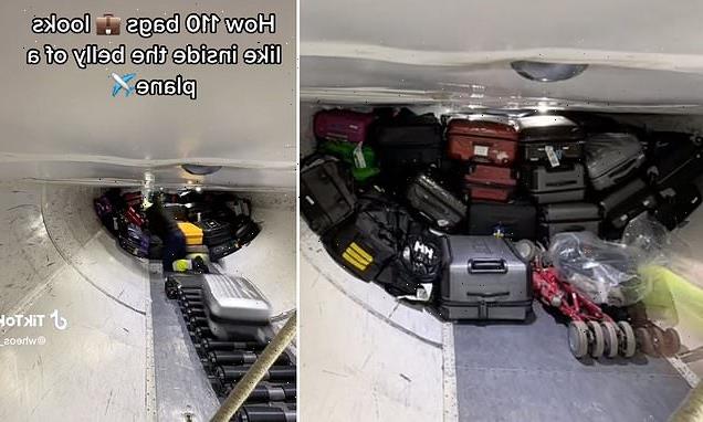 This 'mesmerising' video shows where your luggage is stored in a plane