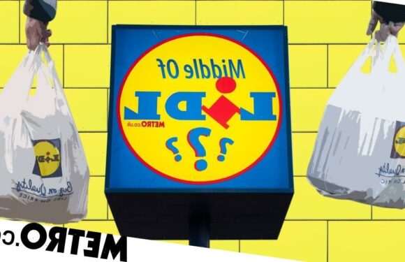 This week's top picks from the Middle of Lidl