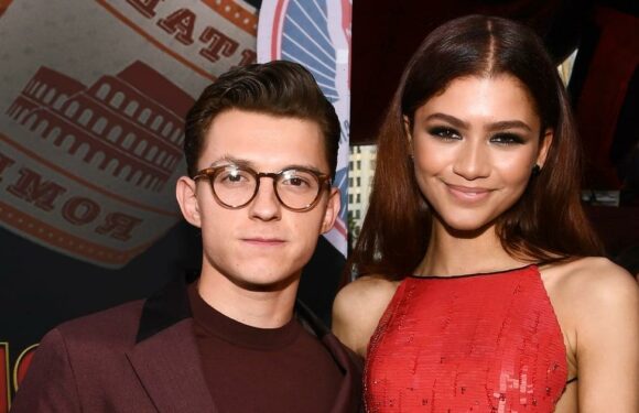 Tom Holland Reacts to Zendaya's Red Carpet Return in the Sweetest Way