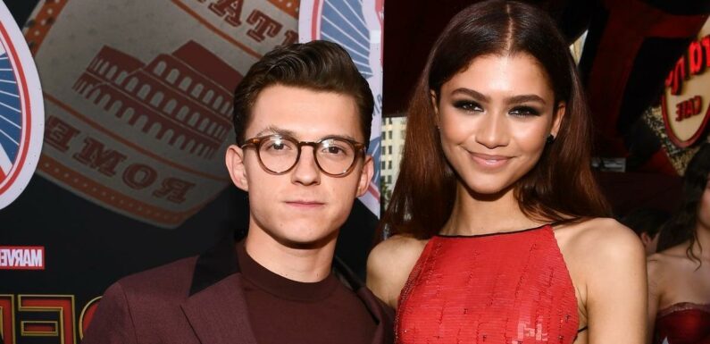 Tom Holland Reacts to Zendaya's Red Carpet Return in the Sweetest Way