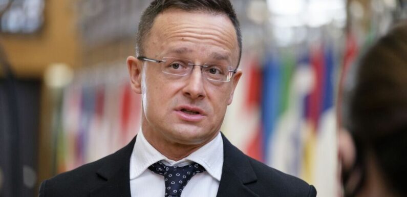 Top Hungarian boss fails to show up for Ukraine support video