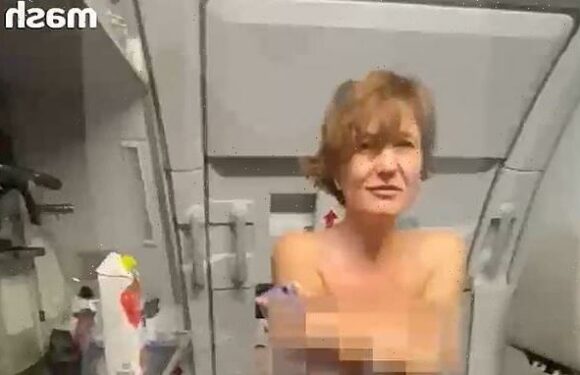 Topless woman tries to storm cockpit on Russian flight