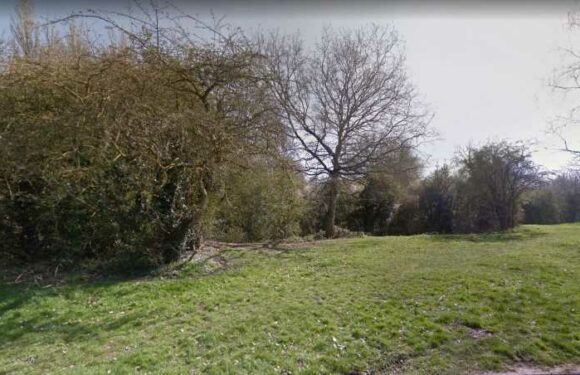 Tragedy as boy, 10, dies in horror rope swing accident while playing with friends – leaving mum heartbroken | The Sun