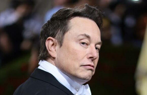 Two faces of Musk are fighting to control Twitter