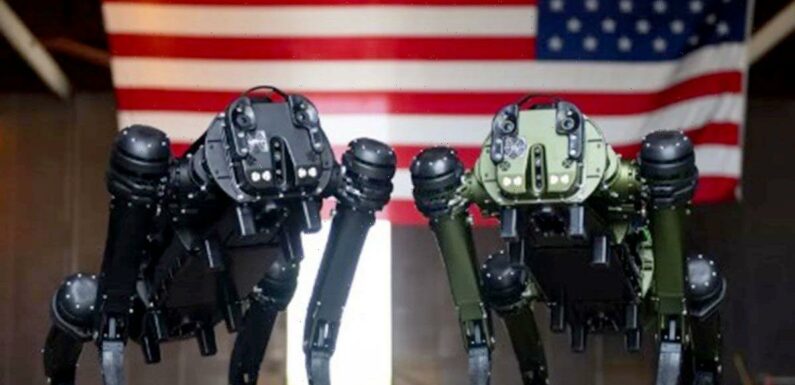 US Space Force to deploy deadly robot dog patrols at Cape Canaveral rocket base
