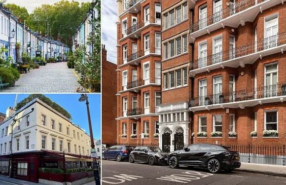 US tech billionaires are becoming the new Sloane Rangers