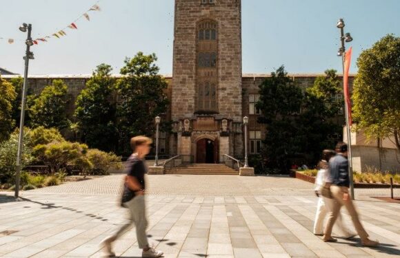 University review paves way for Albanese to reduce arts degree fees