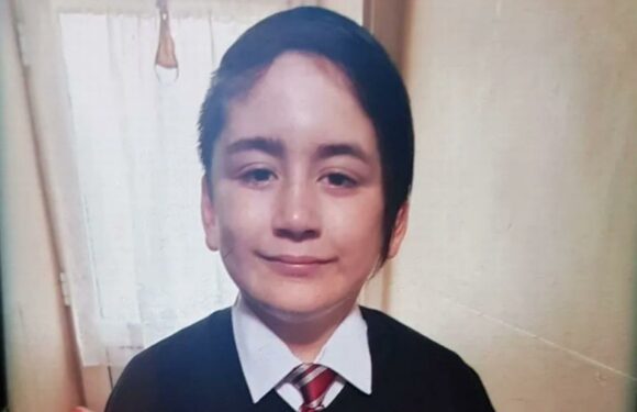 Urgent hunt for schoolboy who vanished last night as cops tell neighbours 'check your sheds' | The Sun