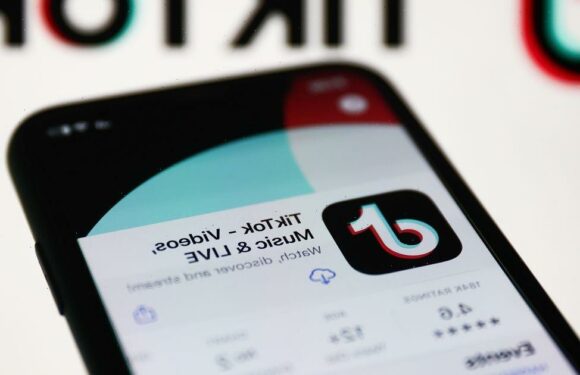 Users might have to pay to watch TikTok videos under controversial new plans