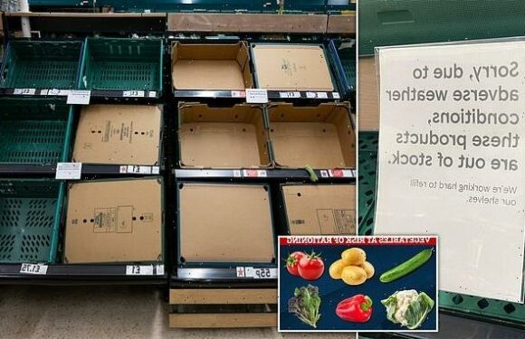 Vegxit' fruit and veg crisis could add pounds to your weekly shop