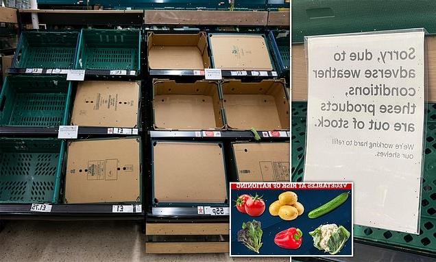 Vegxit' fruit and veg crisis could add pounds to your weekly shop