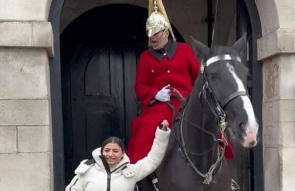 Watch as King's Guard yells at tourist as she tries to grab horse's reins to pose for a photo | The Sun