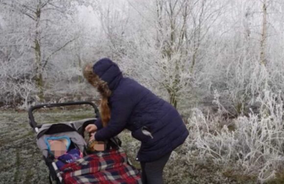 We’re a family-of-four and live off-grid in the woods – our kids nap outside when it’s freezing but it’s good for them | The Sun