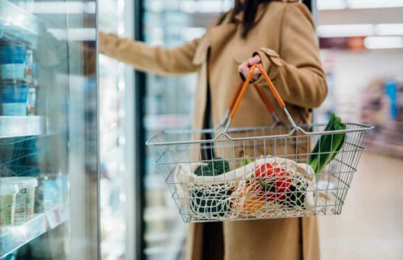 We’re foodies – forget Aldi, the stores that REALLY sell the best bargain grub including the cheapest fish fingers ever | The Sun