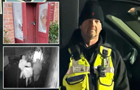 We’ve started our own vigilante squad to control the streets… if the police won’t keep us safe, we will | The Sun